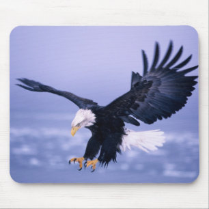 Bald Eagle Landing Wings Spread in a Storm, Mouse Pad
