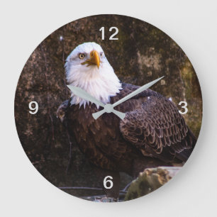 Bald Eagle Large Clock