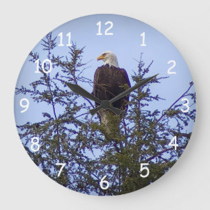 Bald Eagle Large Clock