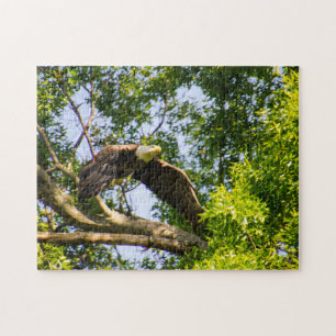 Bald Eagle Launch Jigsaw Puzzle