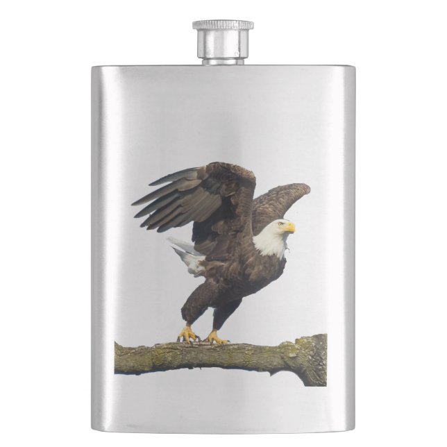 Bald Eagle Leap Hip Flask (Front)