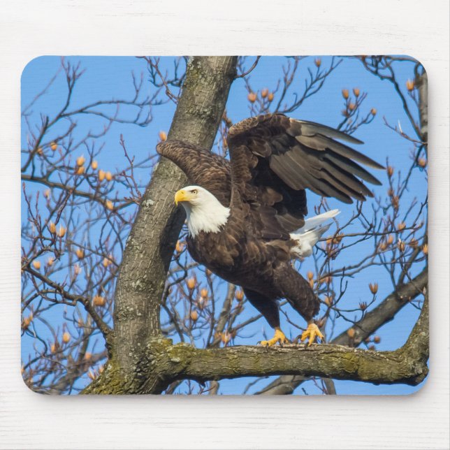Bald Eagle Leap Mouse Pad (Front)