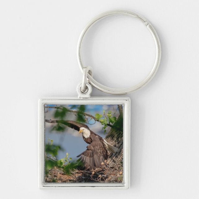 Bald Eagle leaving the nest Key Ring (Front)