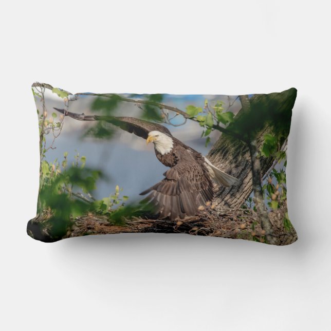 Bald Eagle leaving the nest Lumbar Cushion (Front)