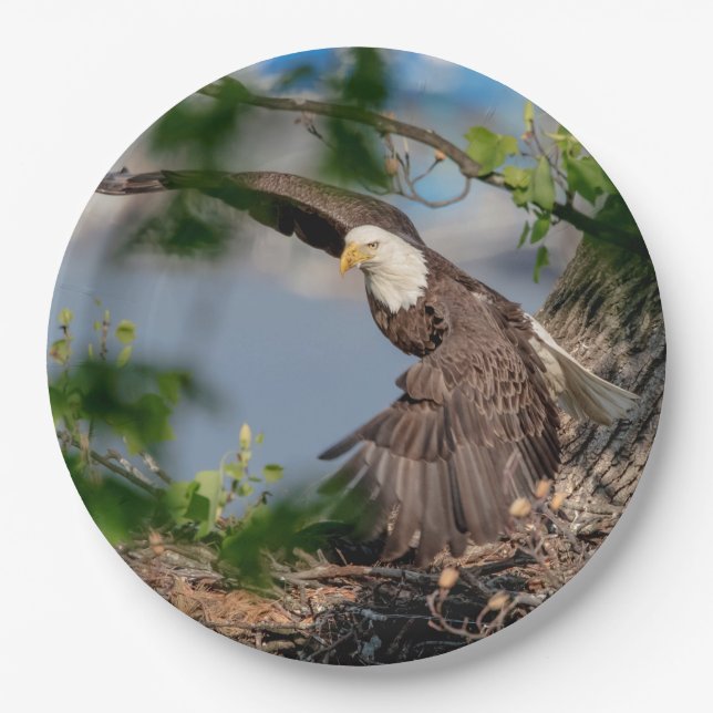 Bald Eagle leaving the nest Paper Plate (Front)