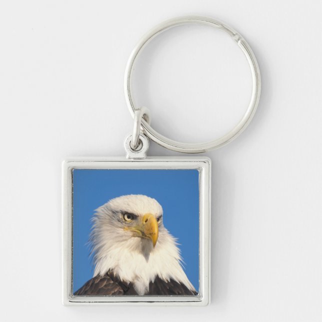 Bald Eagle Look Key Ring (Front)