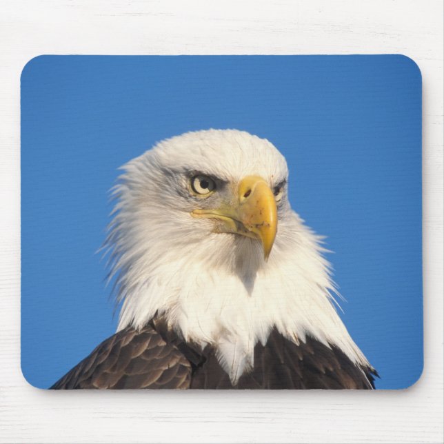 Bald Eagle Look Mouse Pad (Front)
