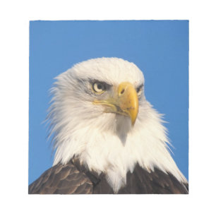 Bald Eagle Look Notepad