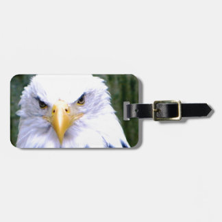 Bald Eagle Luggage Tag