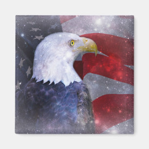 Bald Eagle Magnet