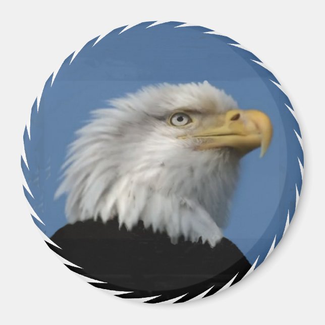 BALD EAGLE -MAGNET MAGNET (Front)