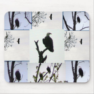 Bald eagle Montage Mouse Pad