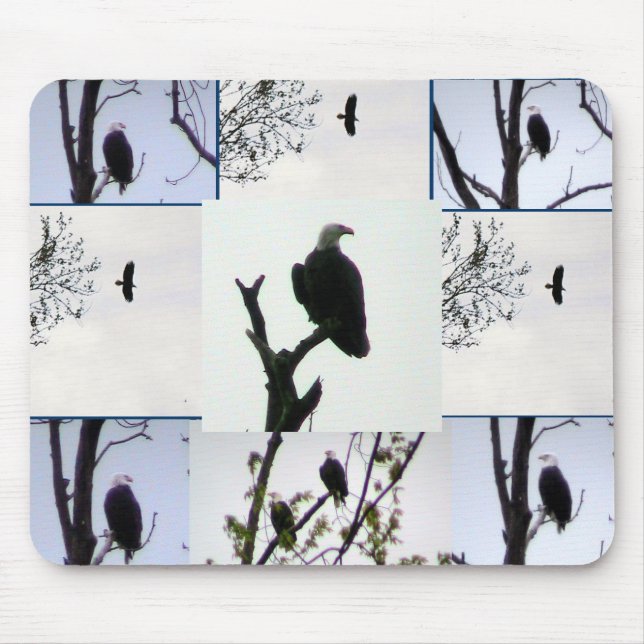 Bald eagle Montage Mouse Pad (Front)