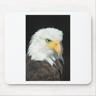 Bald Eagle Mouse Pad