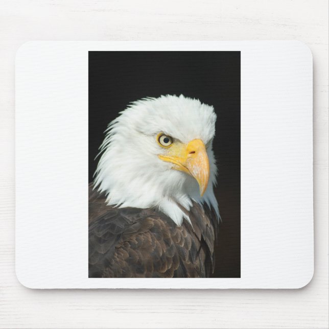 Bald Eagle Mouse Pad (Front)
