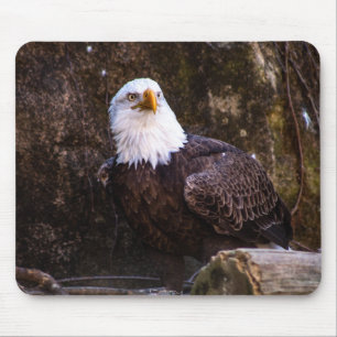 Bald Eagle Mouse Pad