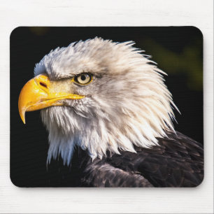 Bald Eagle Mouse Pad