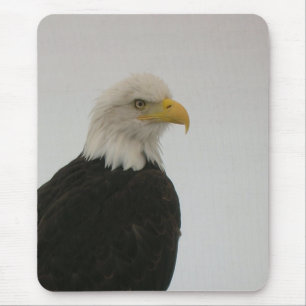 Bald Eagle Mouse Pad