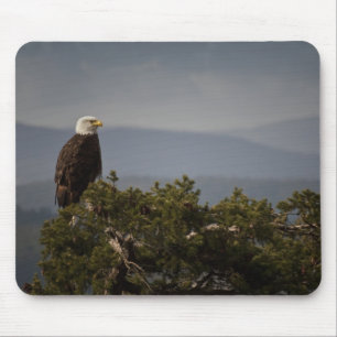 Bald Eagle - Mousepad