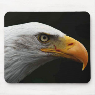 Bald Eagle mpcn Mouse Pad