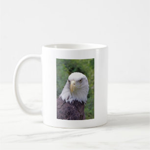 Bald Eagle mug