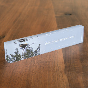 Bald Eagle Nameplate
