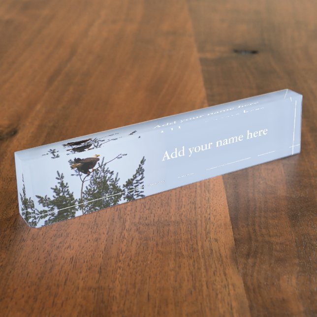 Bald Eagle Nameplate (Side)