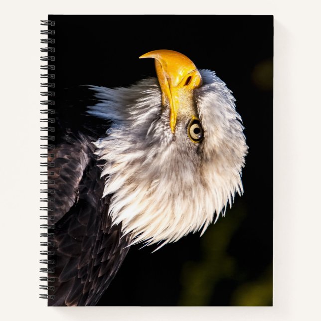 Bald Eagle Notebook (Front)