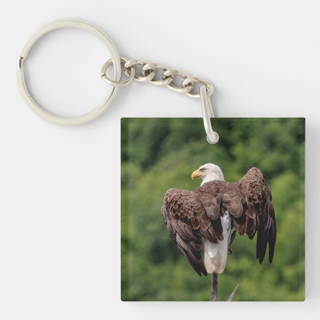 Bald Eagle on a branch Key Ring (Front)