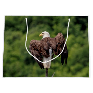 Bald Eagle on a branch Large Gift Bag