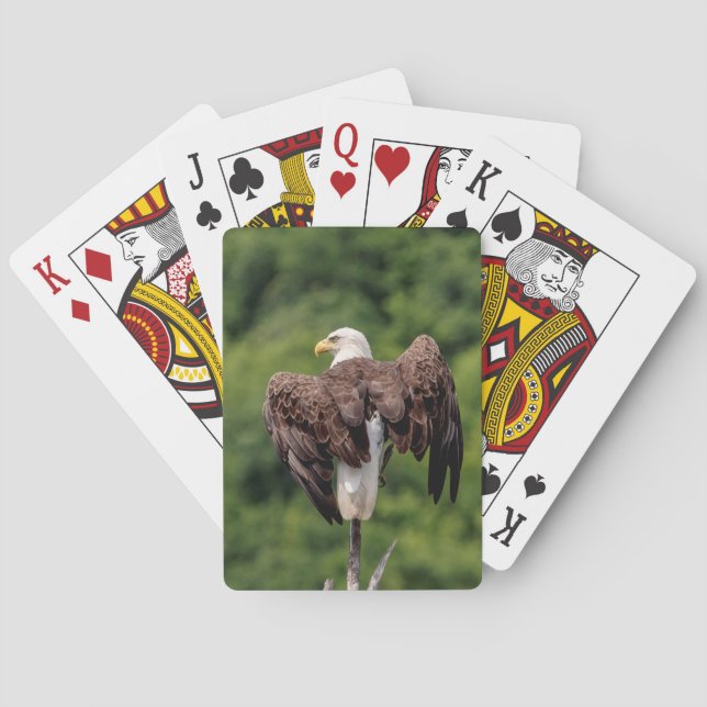 Bald Eagle on a branch Playing Cards (Back)
