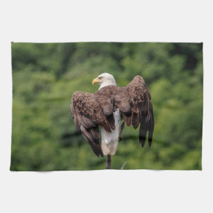 Bald Eagle on a branch Tea Towel