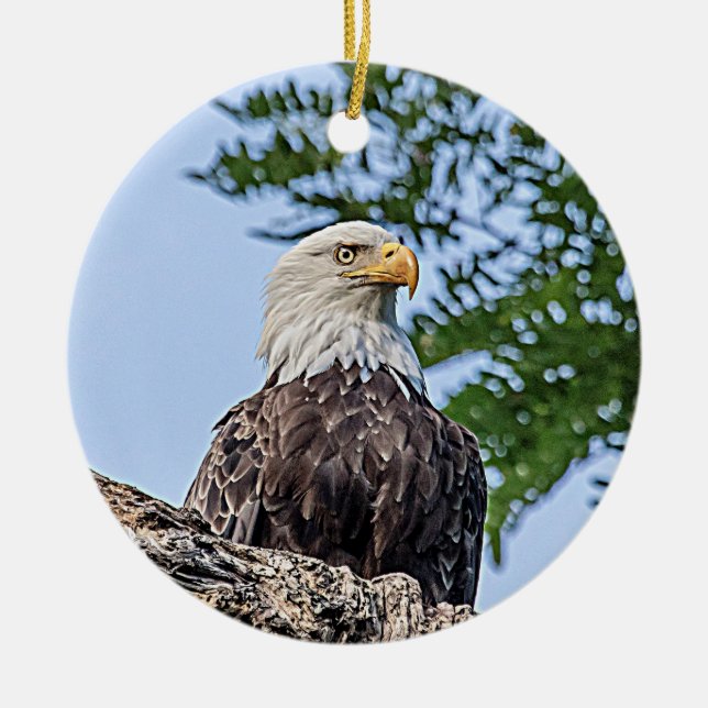 Bald Eagle on a tree branch Ceramic Tree Decoration (Front)
