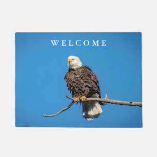 Bald Eagle on a tree branch Doormat