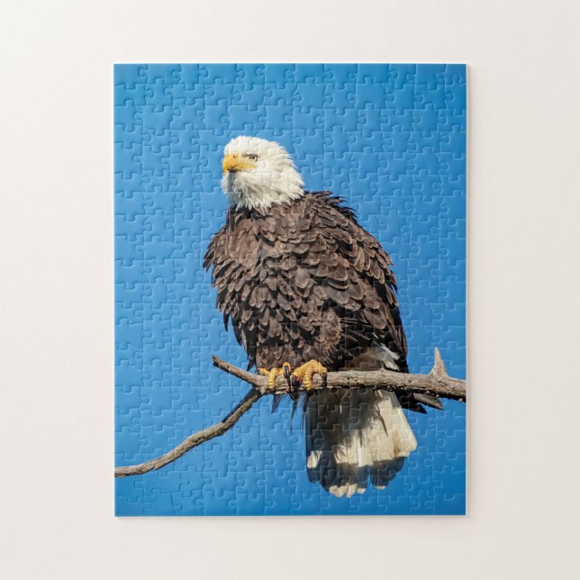 Bald Eagle on a tree branch Jigsaw Puzzle (Vertical)