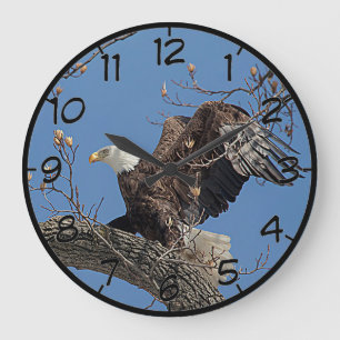Bald Eagle on a tree branch Large Clock