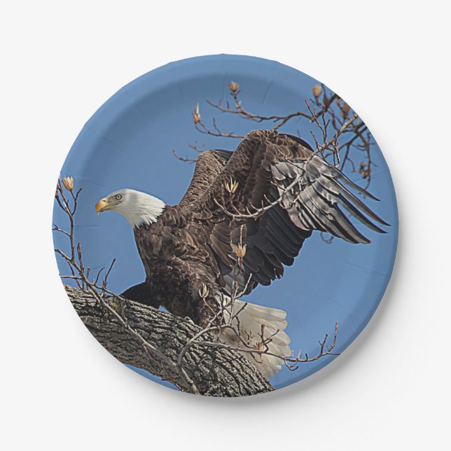 Bald Eagle on a tree branch Paper Plate (Front)