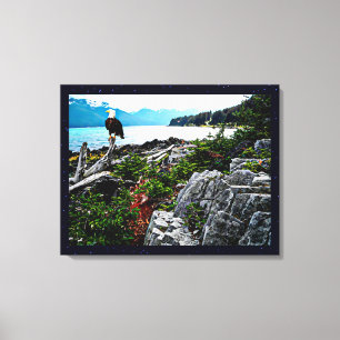 Bald Eagle On Alaska Coast Canvas Print