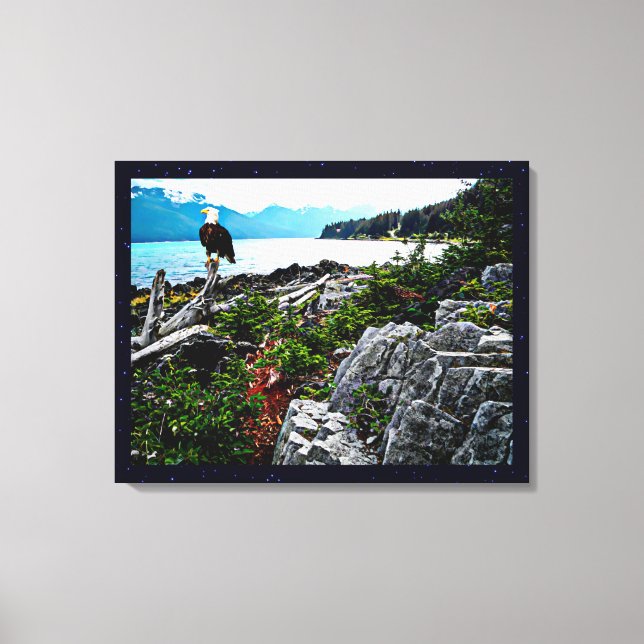 Bald Eagle On Alaska Coast Canvas Print (Front)