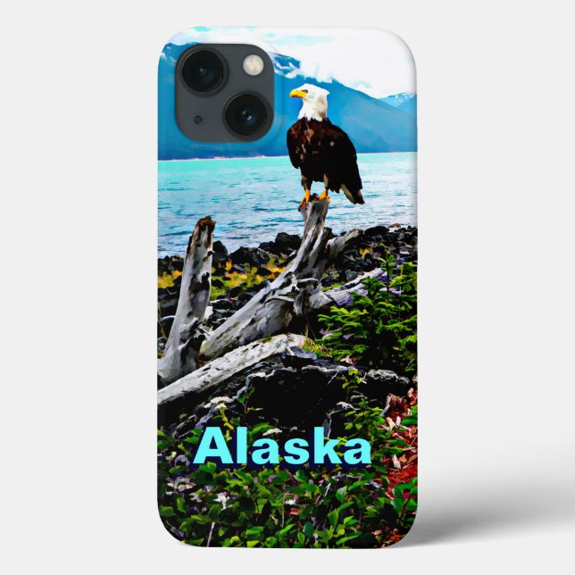 Bald Eagle On Alaska Coast Case-Mate iPhone Case (Back)