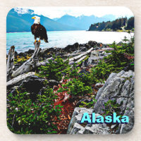 Bald Eagle On Alaska Coast