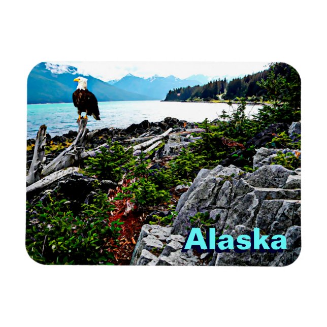 Bald Eagle On Alaska Coast Magnet (Horizontal)