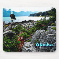 Bald Eagle On Alaska Coast
