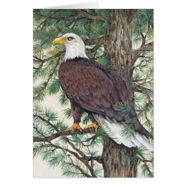 Bald Eagle on Branch (Front)