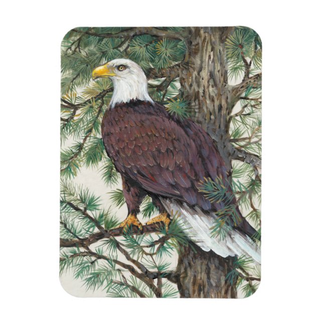 Bald Eagle on Branch Magnet (Vertical)