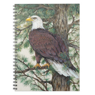 Bald Eagle on Branch Spiral Notebook