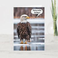 Bald Eagle On Ice Birthday Humour