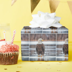 Bald Eagle On Lake Ice Wrapping Paper