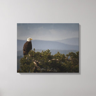 Bald Eagle on Tree Top  Wrapped Canvas