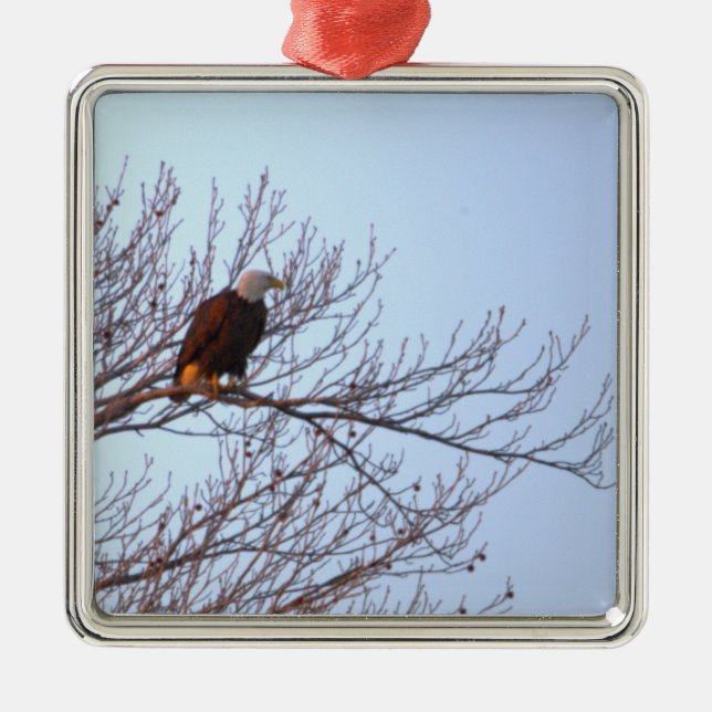 Bald Eagle Ornament  (Front)